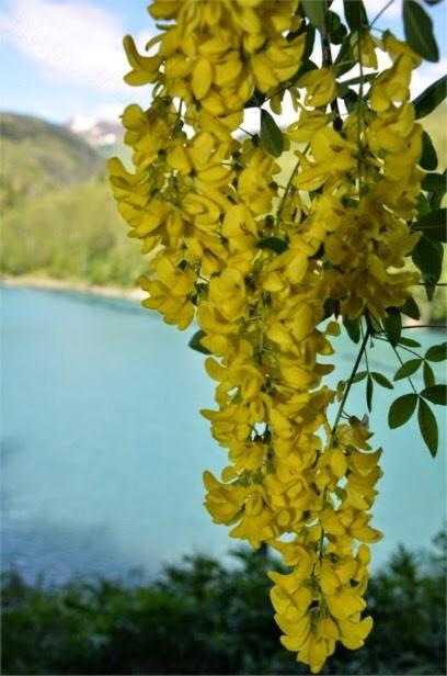 Apartmán Casa Maia La Spezia Pokoj fotografie